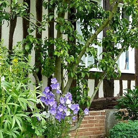 Bed & Breakfast La Charretterie 3*
