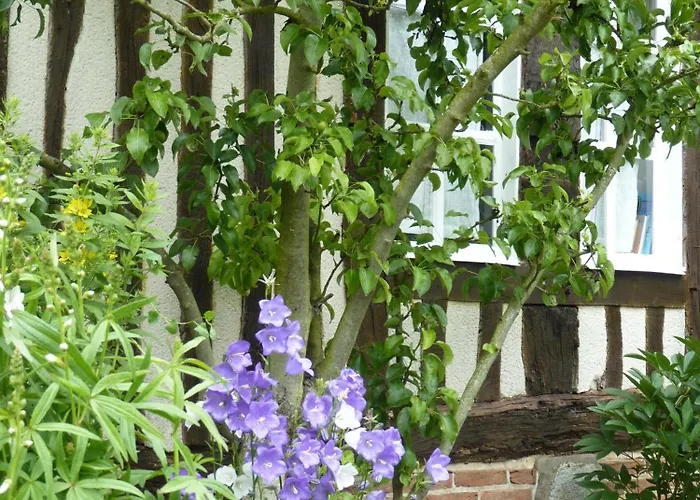 Oda ve Kahvaltı La Charretterie Bacqueville-en-Caux